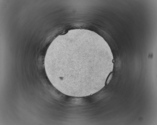 X0000112980428200910081114