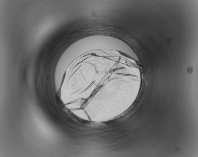 X0000112980429200910081114