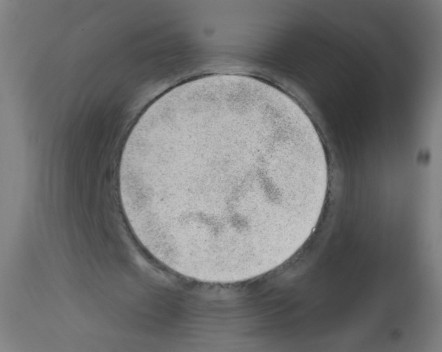 X0000112980433200910081113