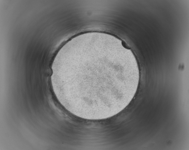 X0000112980434200910081113