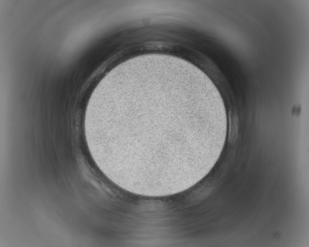 X0000112980435200910081113