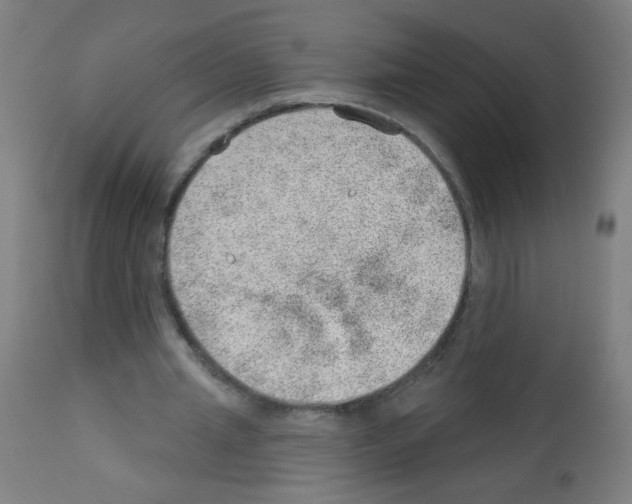 X0000112980437200910081113