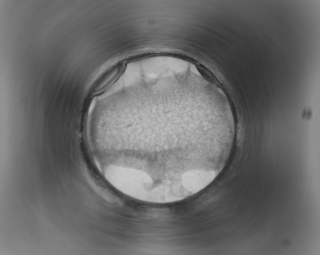 X0000112980438200910081114