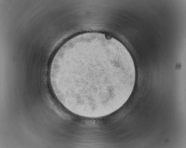 X0000112980439200910081114