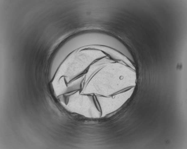 X0000112980440200910081114