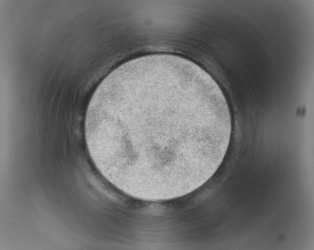 X0000112980441200910081114
