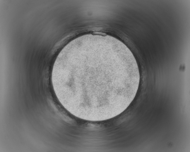 X0000112980442200910081114
