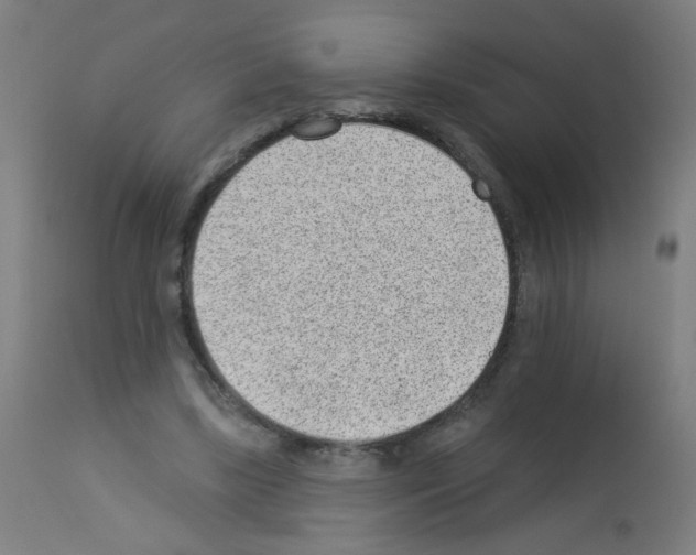X0000112980443200910081114