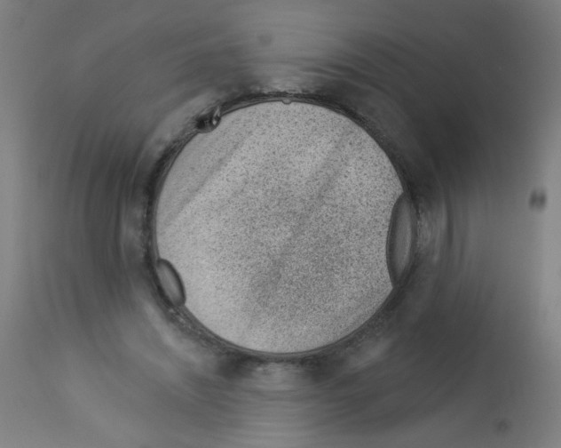 X0000112980444200910081114
