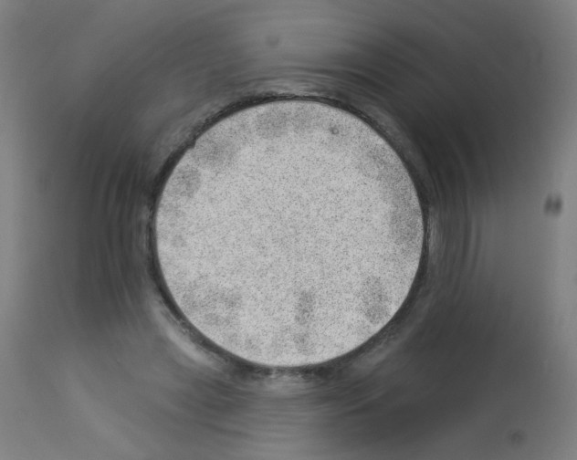 X0000112980445200910081114
