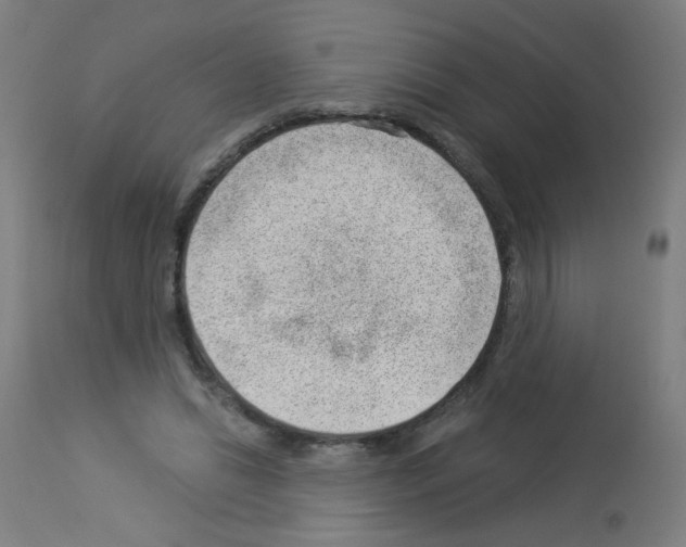 X0000112980446200910081114