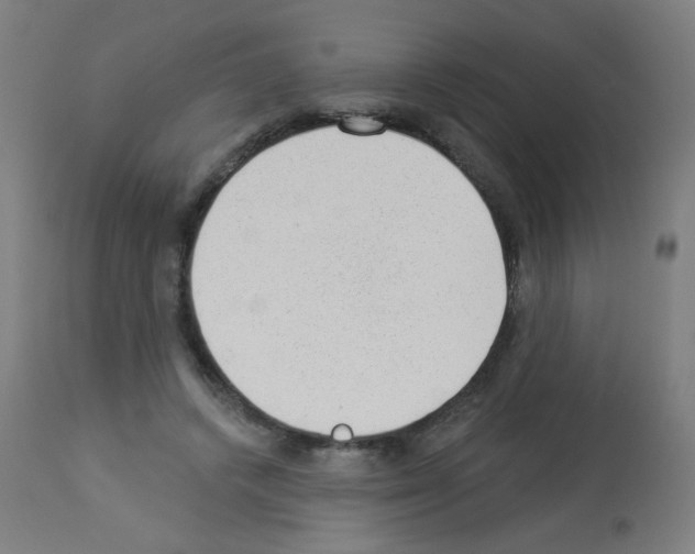 X0000112980448200910081114