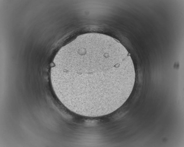 X0000112980450200910081114