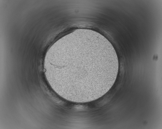 X0000112980453200910081114