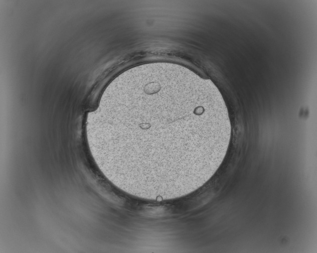 X0000112980454200910081114