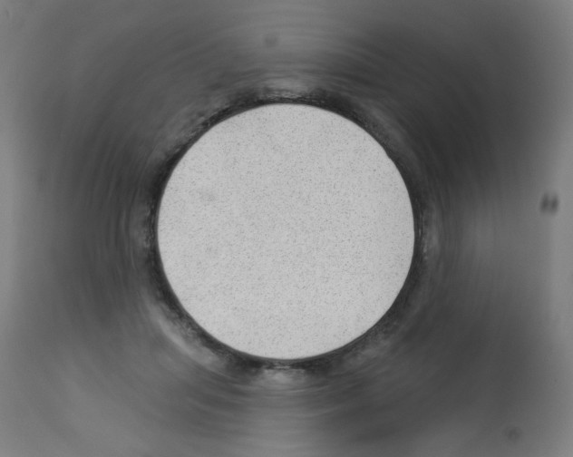 X0000112980455200910081114