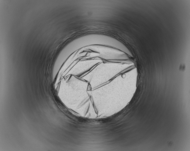 X0000112980456200910081114