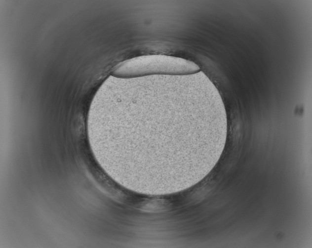 X0000112980459200910081114