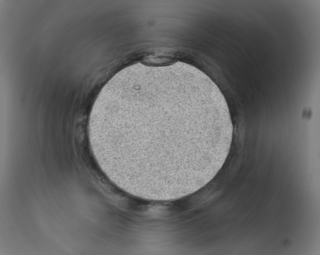 X0000112980462200910081114