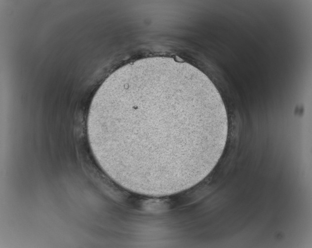 X0000112980465200910081114