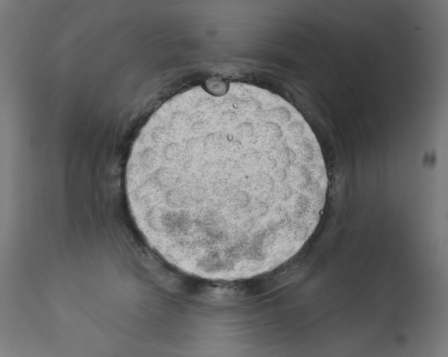 X0000112980466200910081114