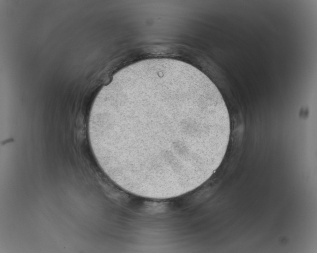 X0000112980469200910081114