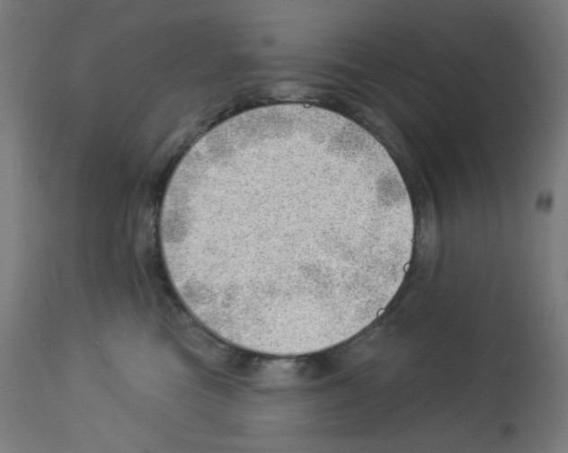 X0000112980473200910081114