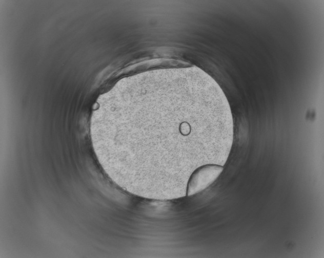 X0000112980478200910081114