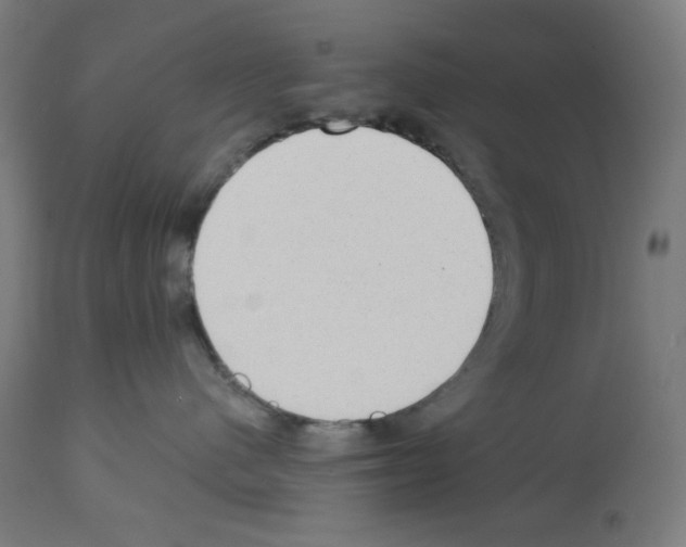 X0000112980480200910081114
