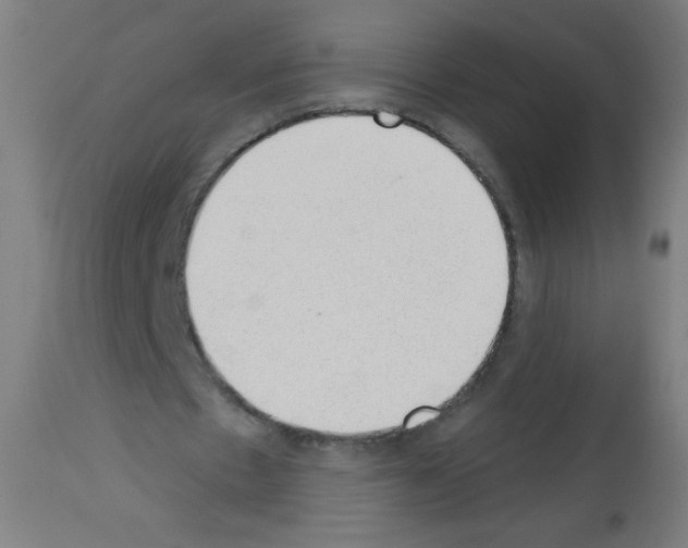 X0000112980481200910081113
