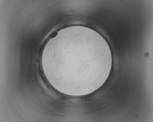 X0000112980482200910081113