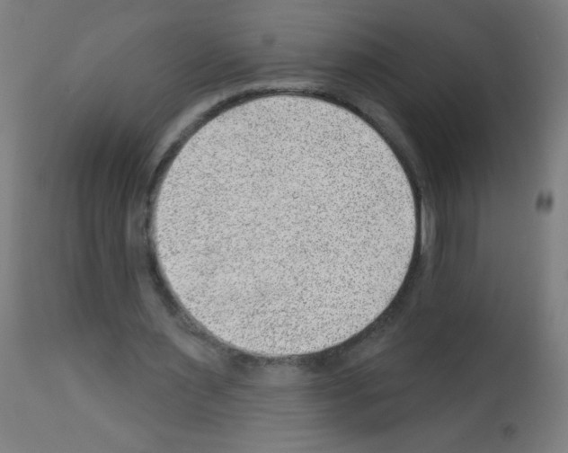 X0000112980483200910081113
