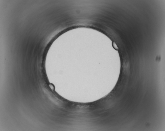 X0000112980484200910081113