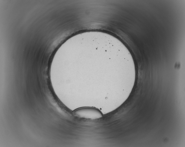 X0000112980485200910081113
