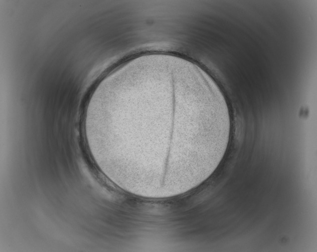 X0000112980486200910081113