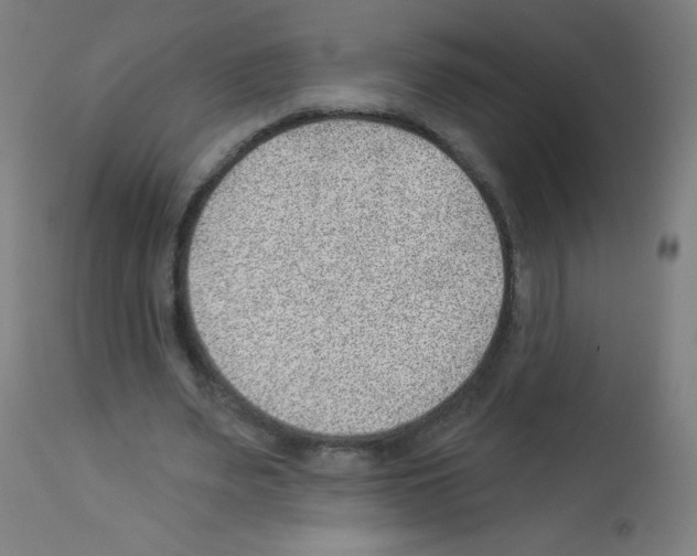 X0000112980487200910081113