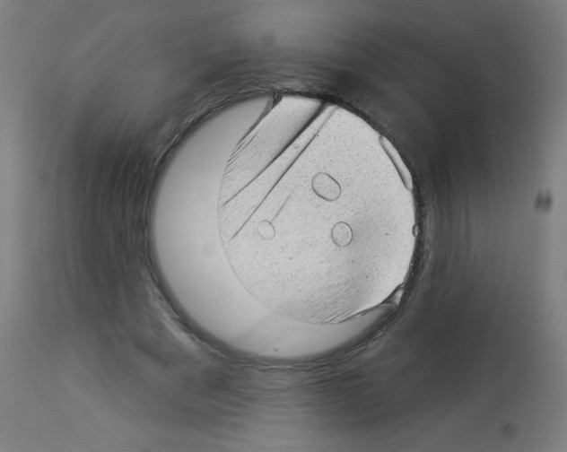 X0000112980489200910081113