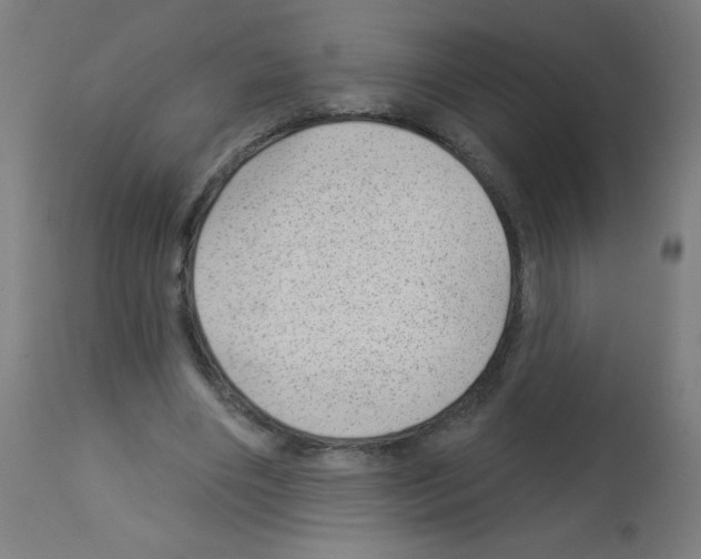 X0000112980490200910081113