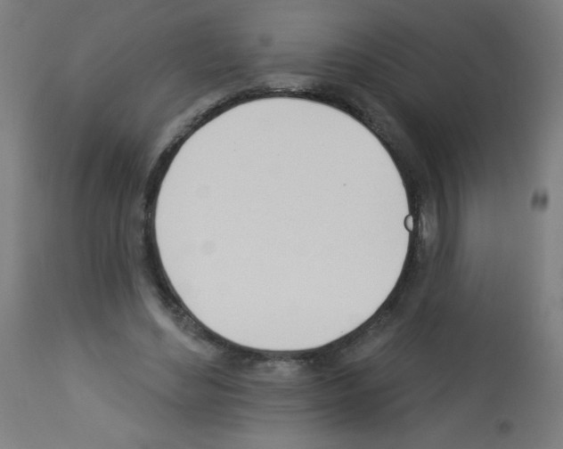 X0000112980492200910081113
