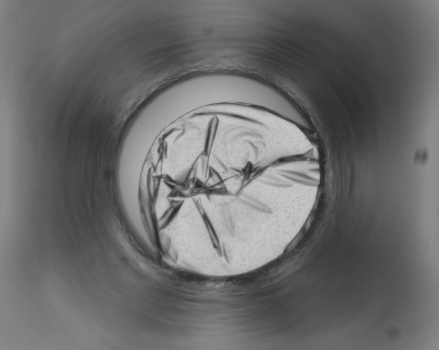 X0000112980493200910081113
