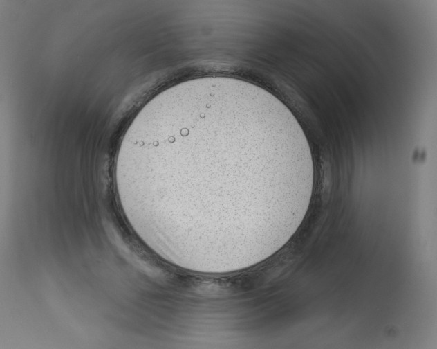 X0000112980494200910081113