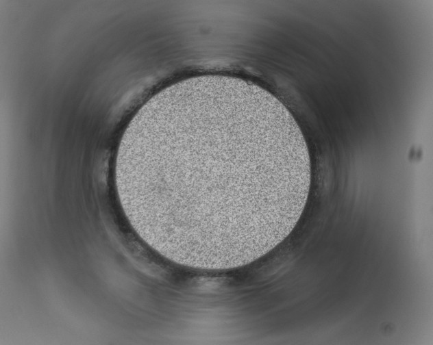 X0000112980495200910081113