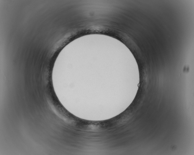 X0000112980496200910081113