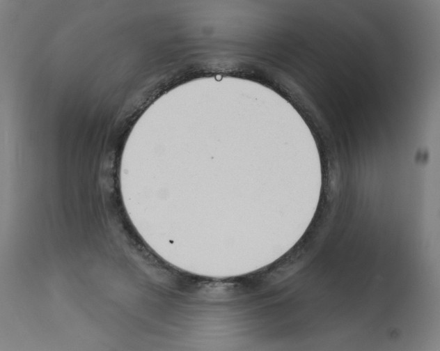 X0000112980497200910081113