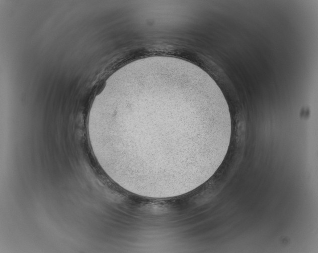 X0000112980498200910081113