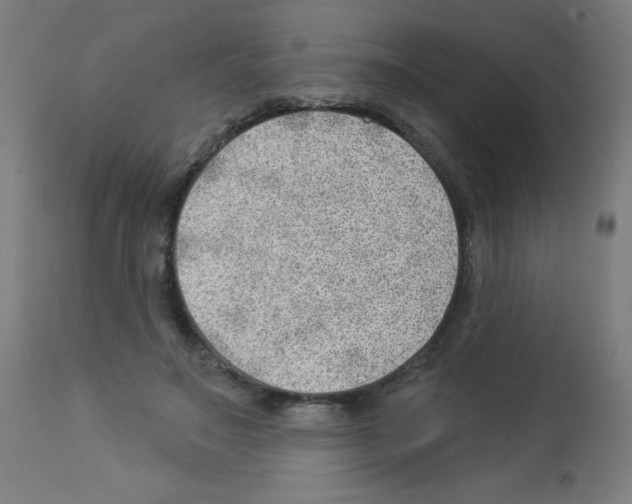 X0000112980499200910081113