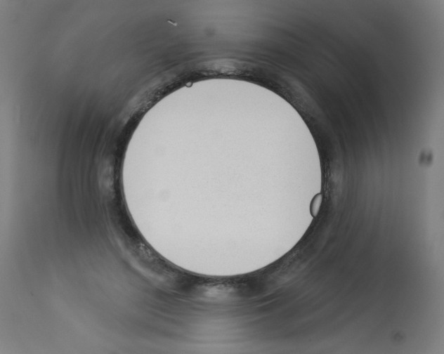 X0000112980500200910081113