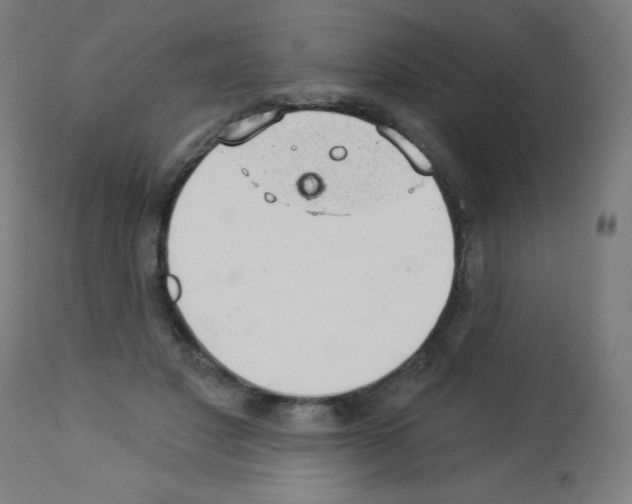 X0000112980501200910081113