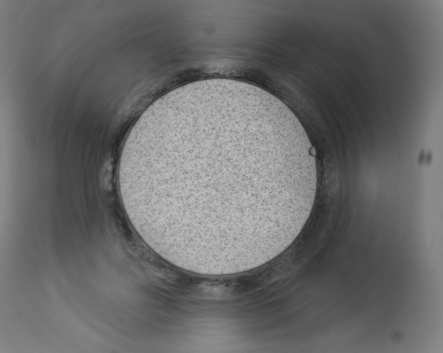 X0000112980502200910081113