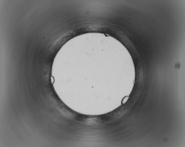 X0000112980505200910081113